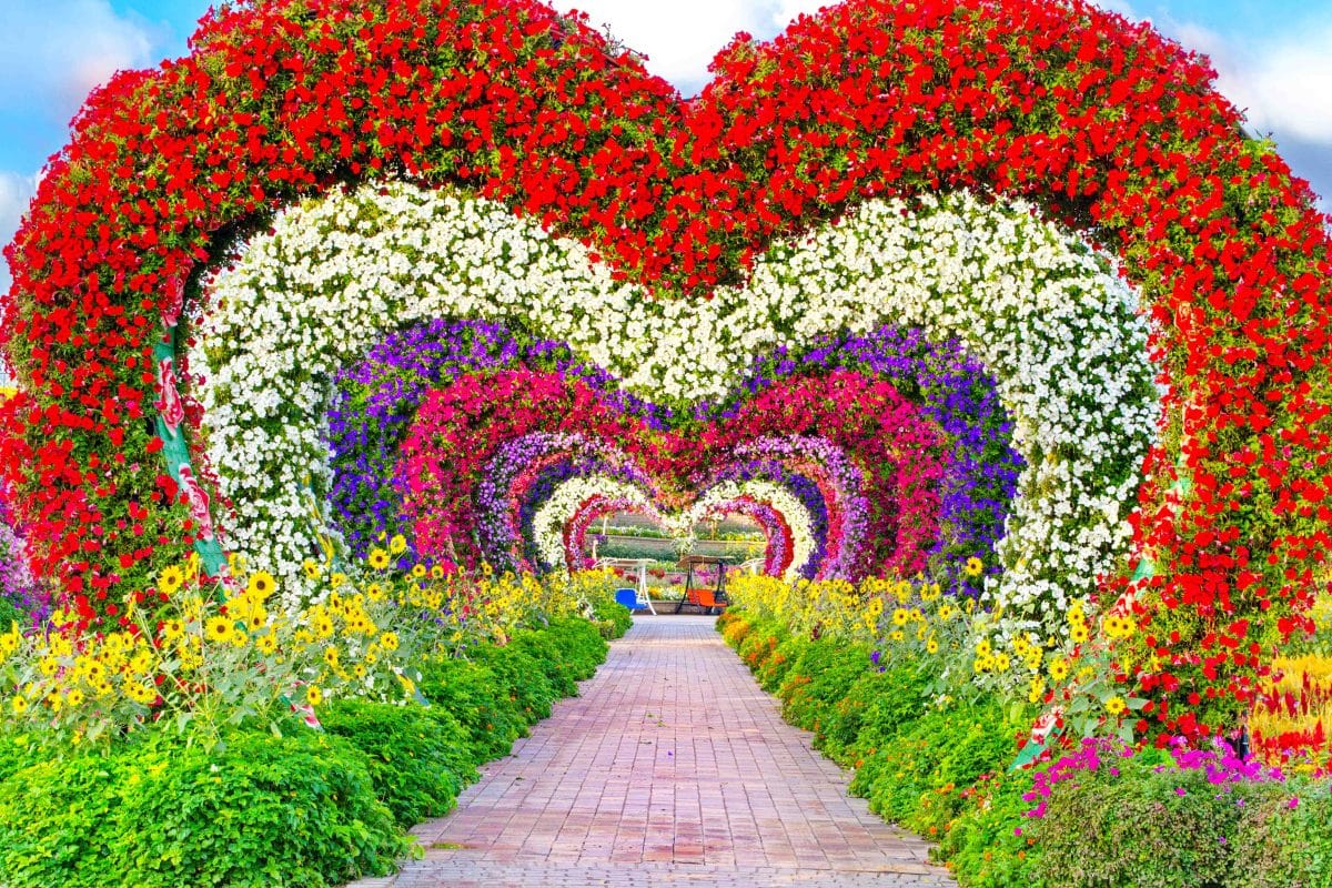 بلیط Dubai Miracle Garden باغ گل دبی