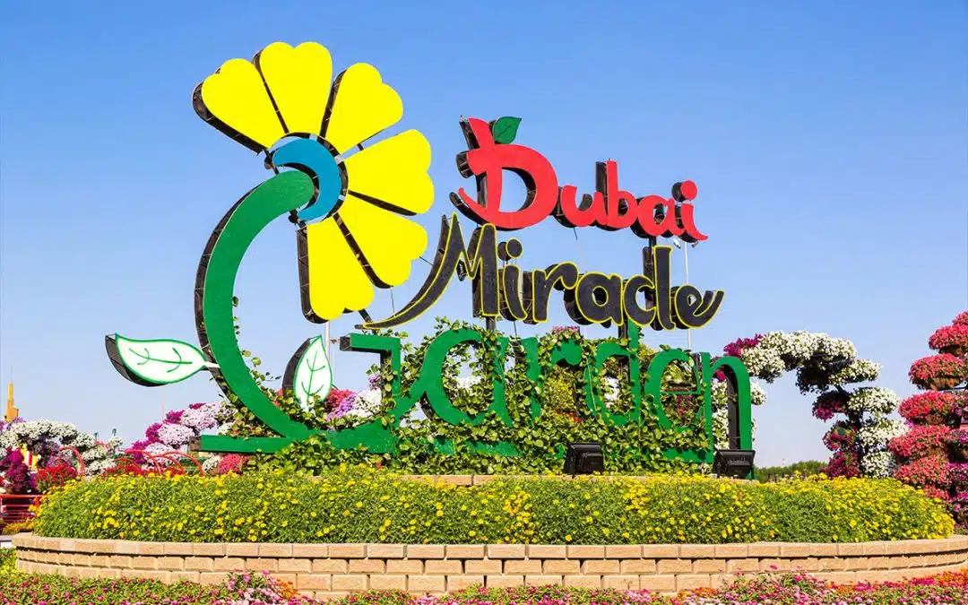 بلیط Dubai Miracle Garden باغ گل دبی