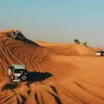 صحرا و سافاری