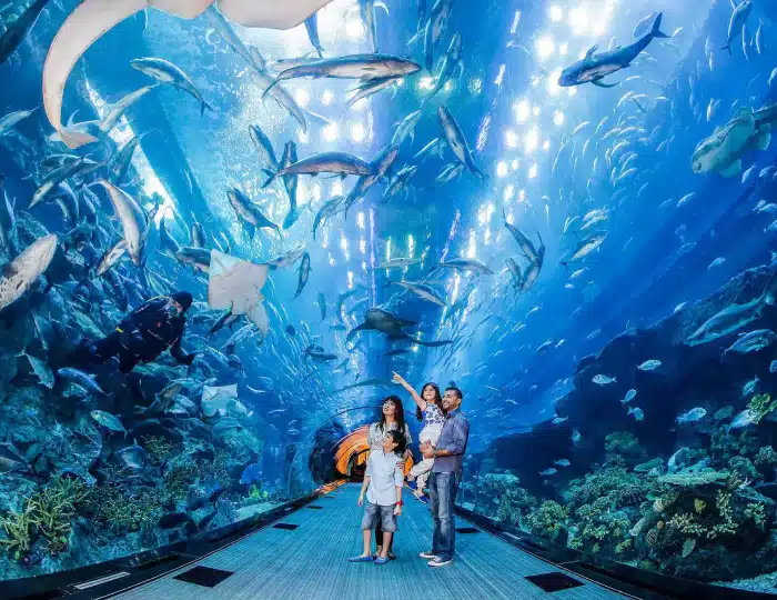 بلیط آکواریوم دبی مال | Aquarium Dubai Mall
