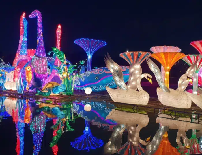 بلیط باغ درخشان دبی | Garden Glow