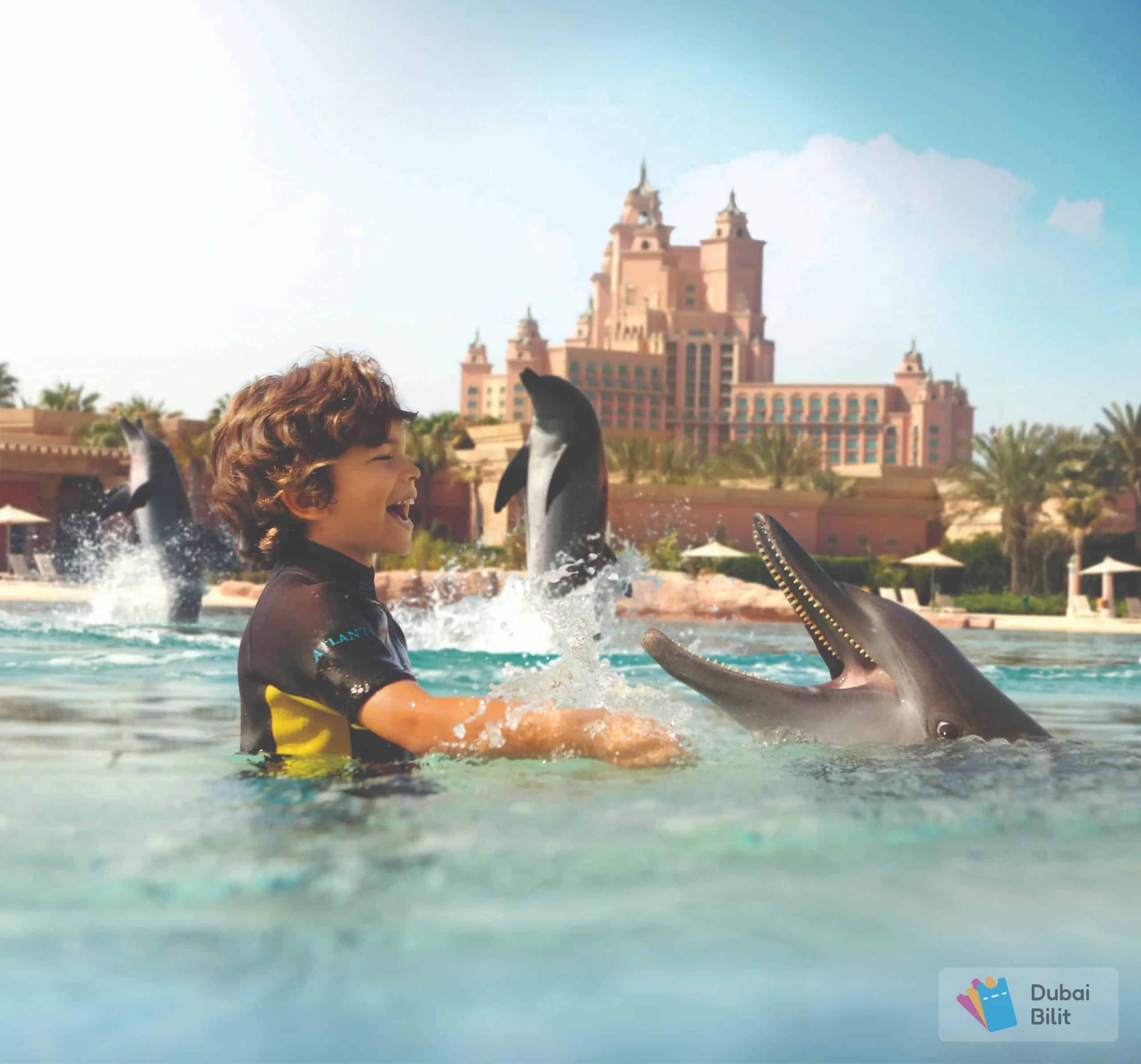 شنا با دلفین‌ها در دبی