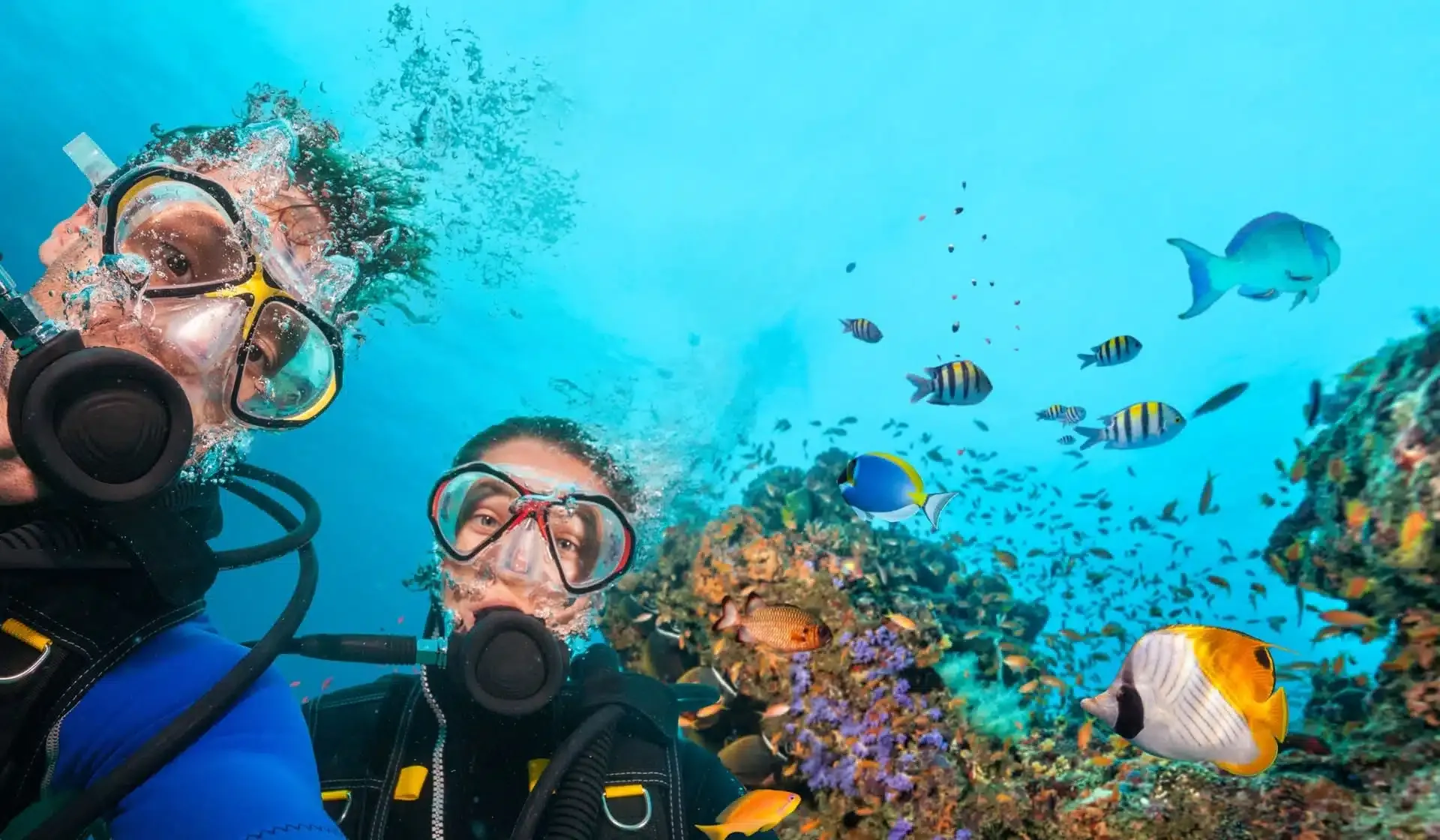 غواصی دبی Scuba Diving Dubai