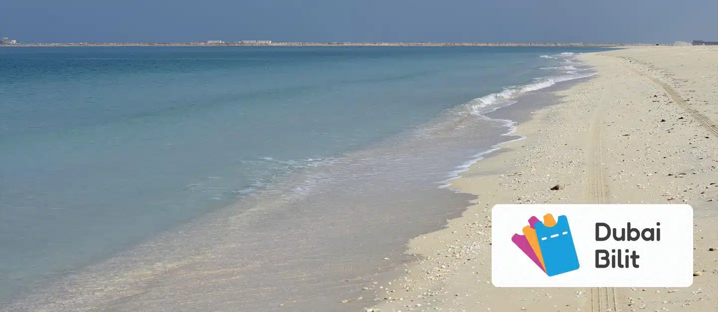 ساحل جبل علی