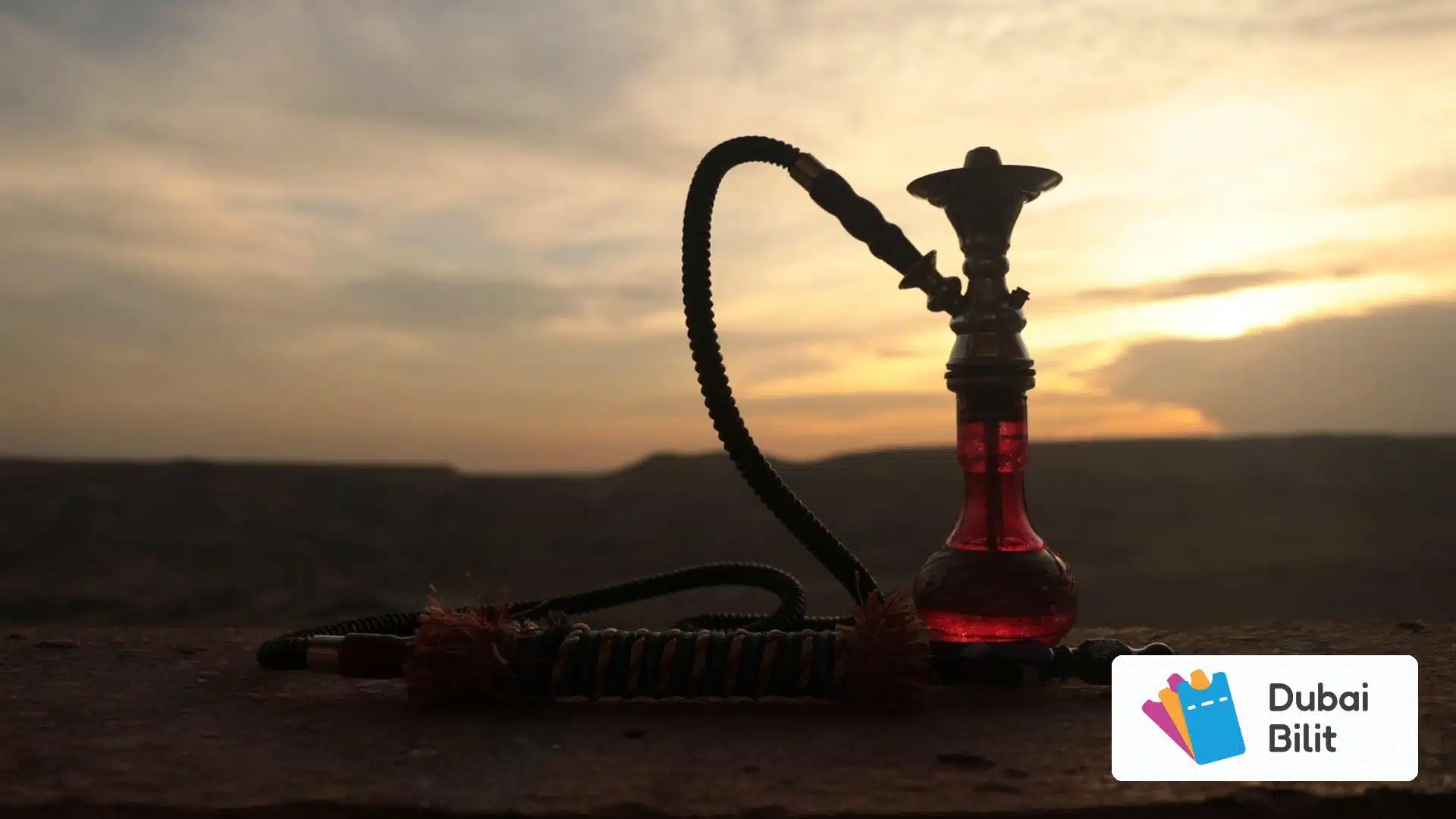 قلیان عربی در تور سافاری دبی