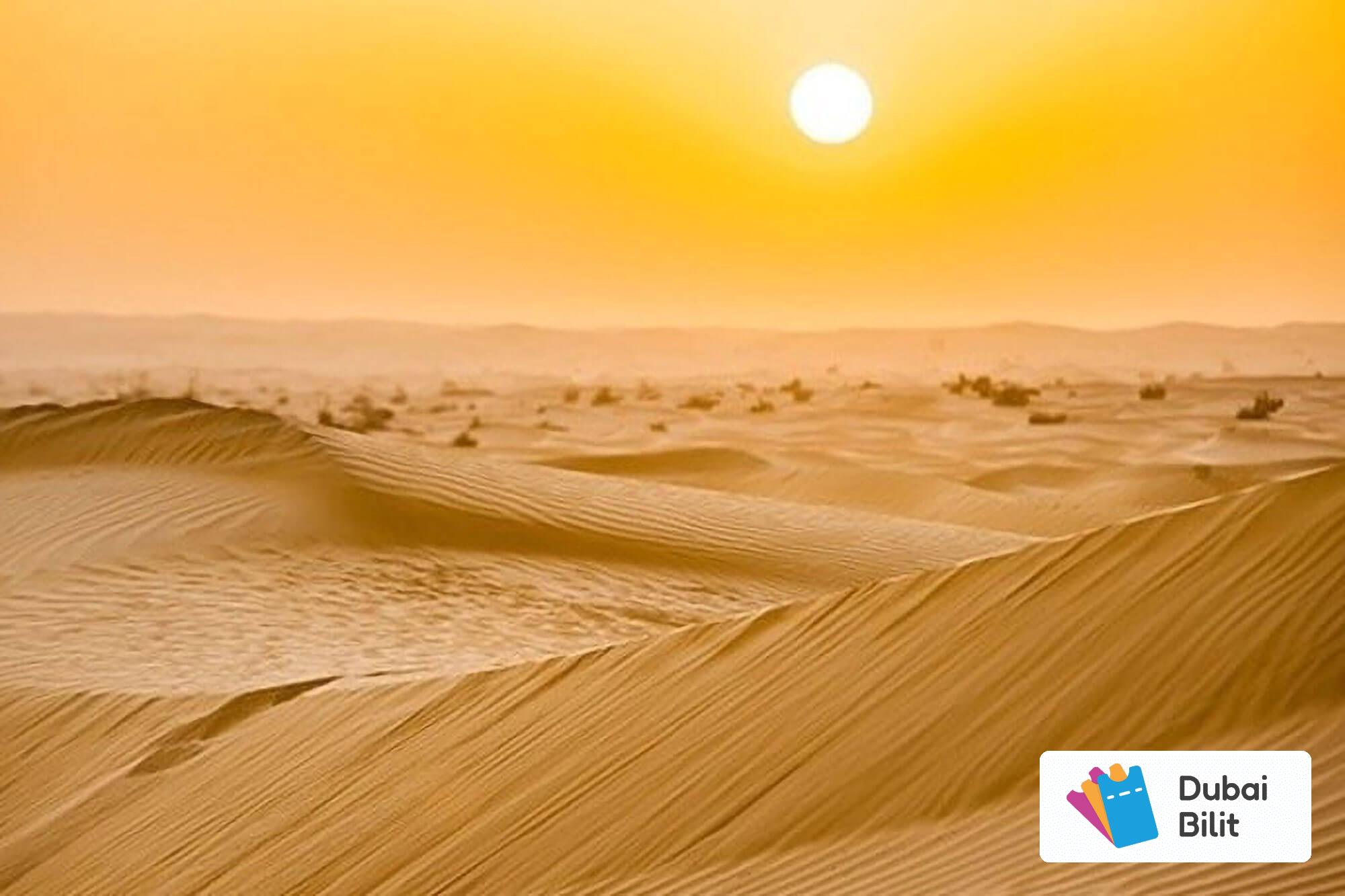 تورهای صحرا در تابستان دبی