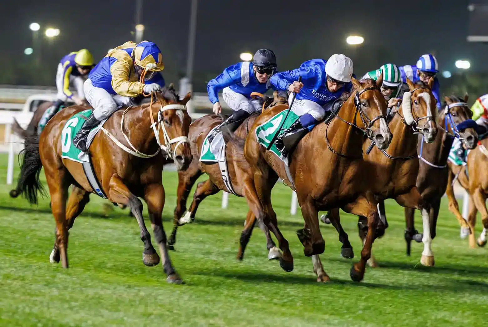 فستیوال اسب‌دوانی دبی (Dubai World Cup)
